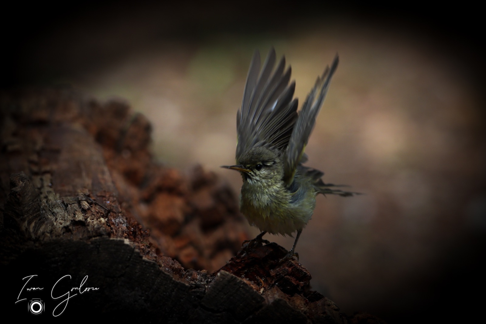 12 juni 2022 155237 1DX47113